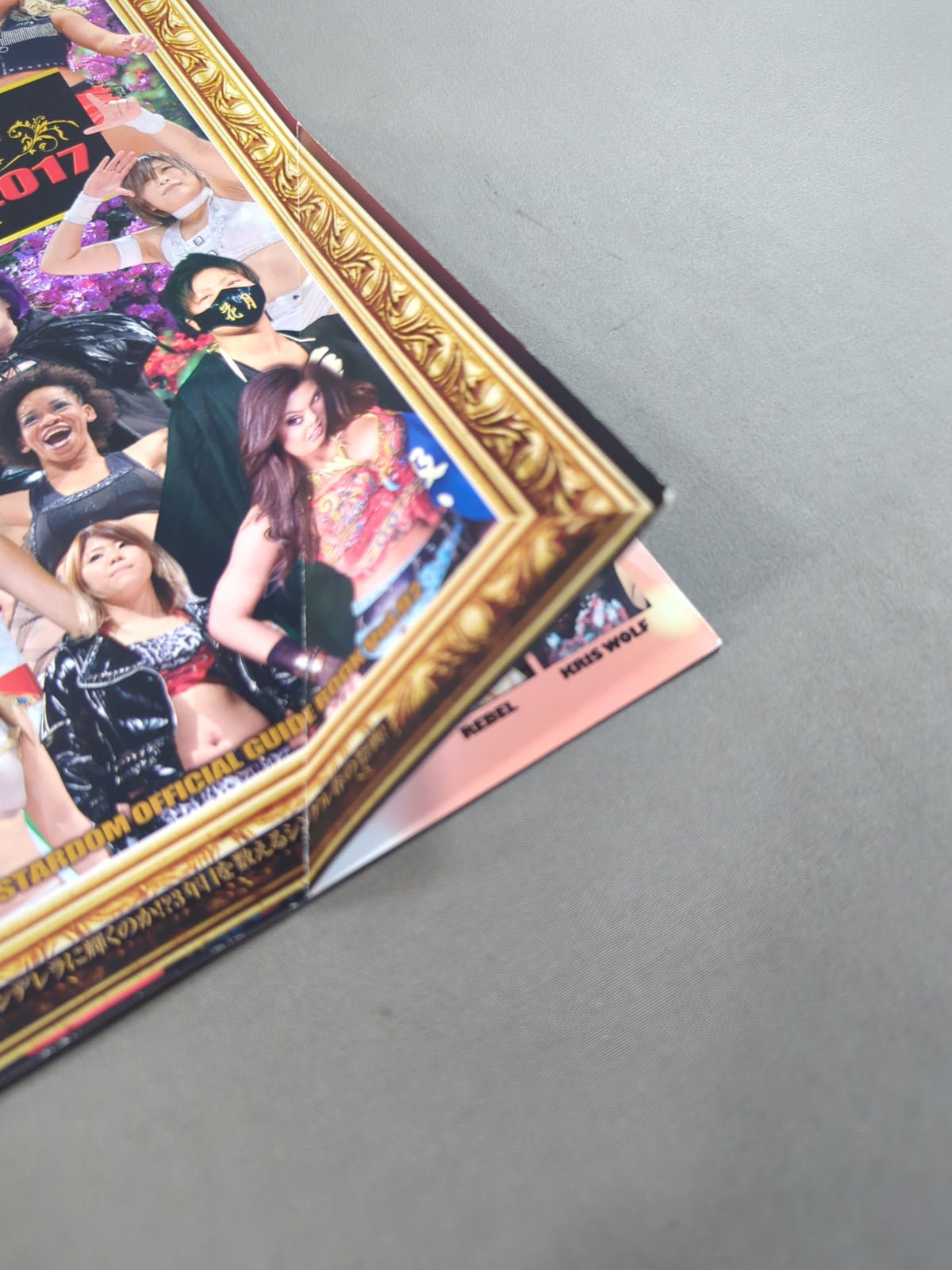 STARDOM OFFICIAL GUIDE BOOK Vol.92