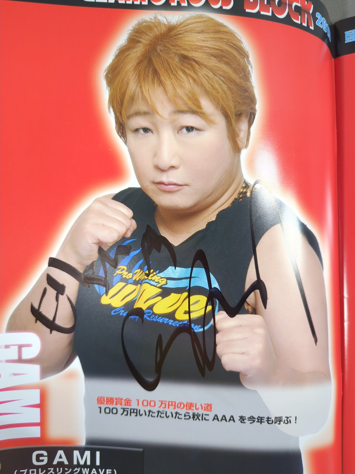 【6選手直筆サイン入り】プロレスリングWAVE 公式パンフレット vol.63