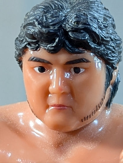 橋本真也(構え)