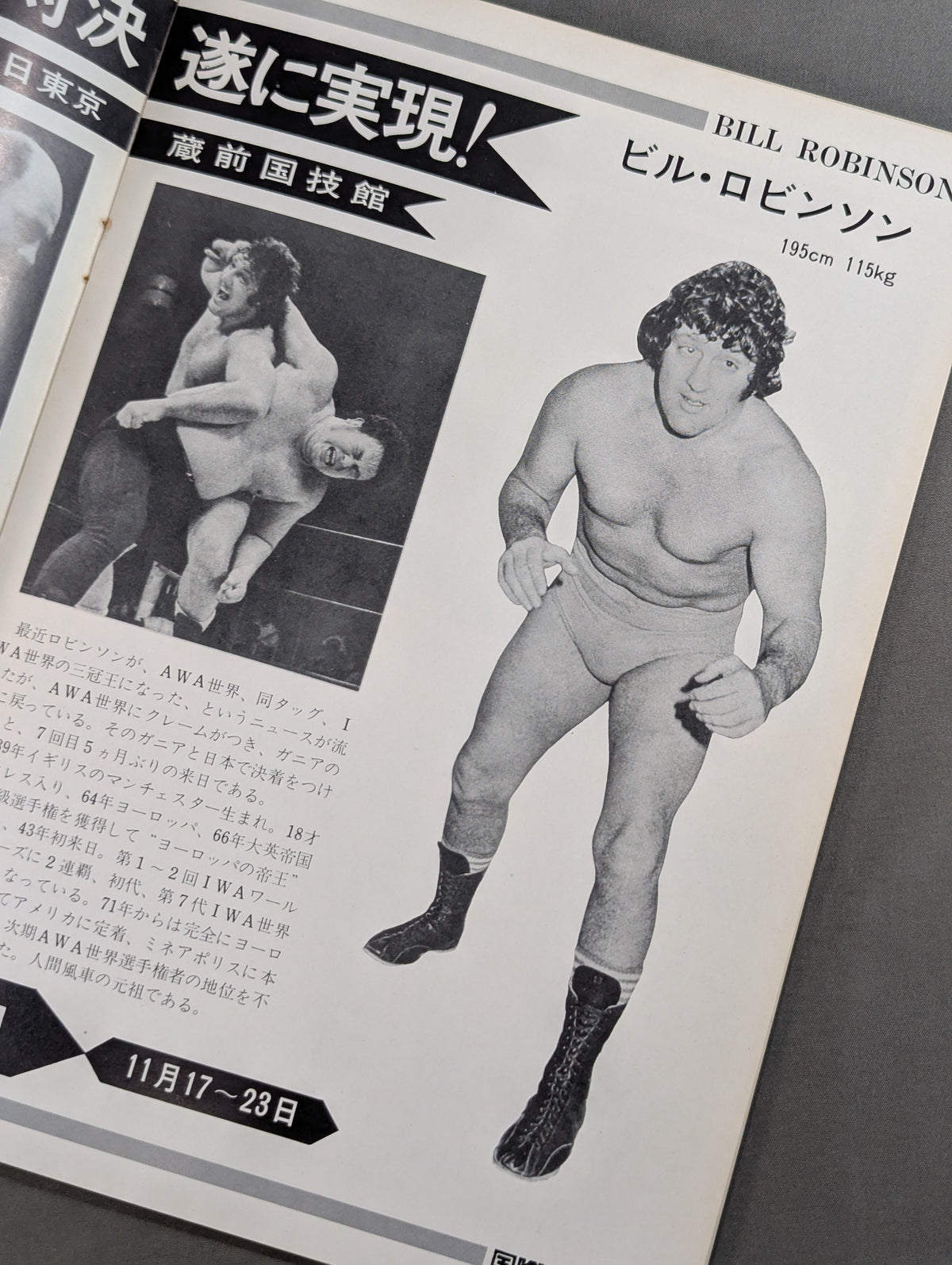 ★ガニアvsロビンソン AWA世界戦★ 74ワールド・チャンピオン・シリーズ