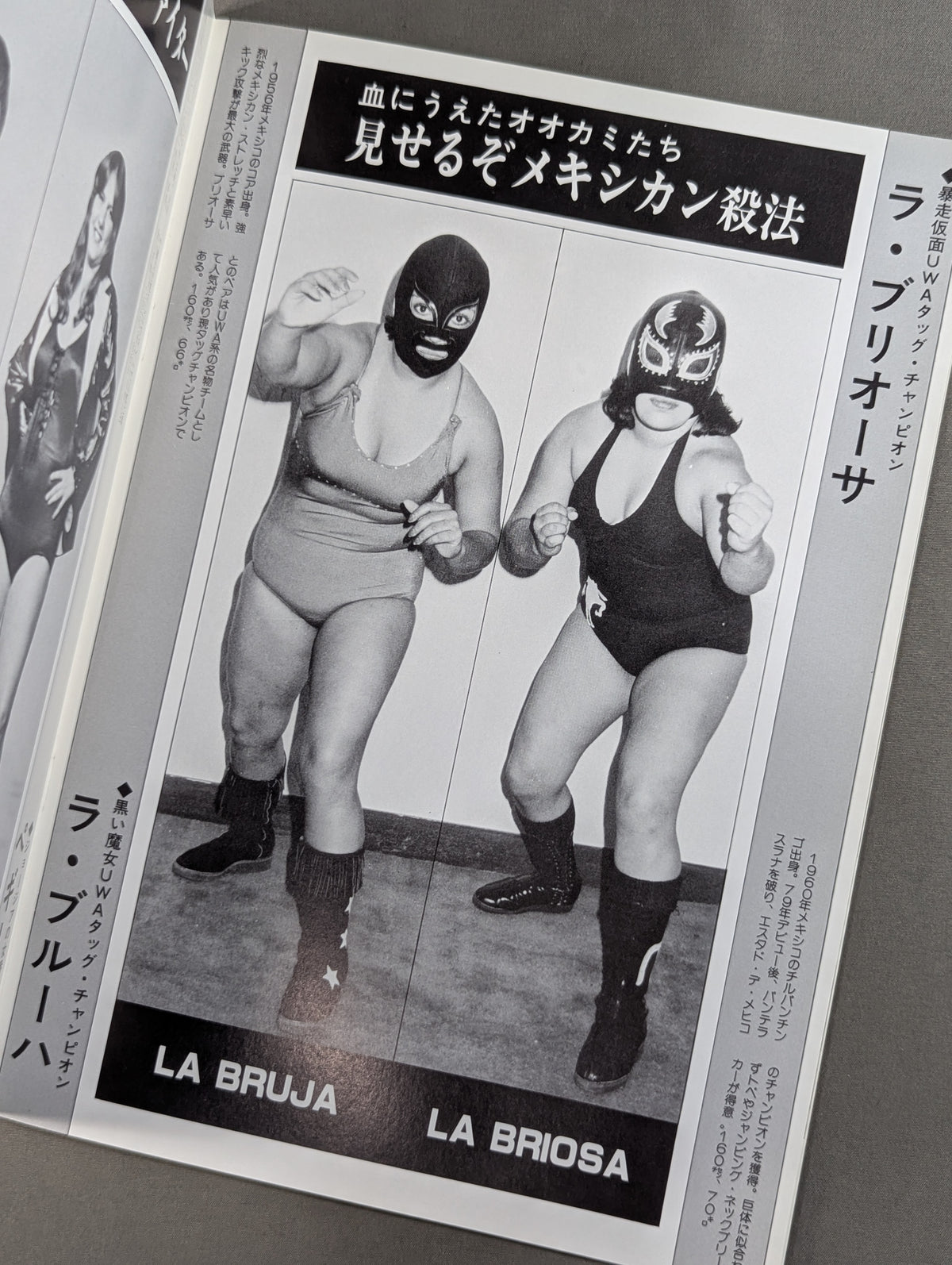 リングスター Vol.11 夏季号