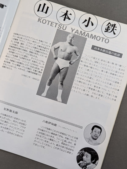 ★ Inoki vs Hansen NWF Fight ★ 80 Big Fight Series