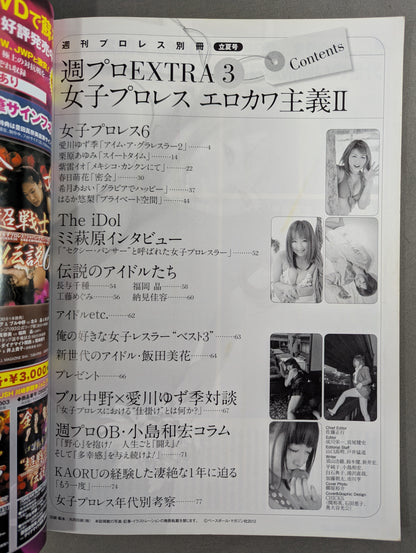 Weekly Pro Wrestling  Appendix 97 "Girls Pro Wrestling  Erokawaism II."