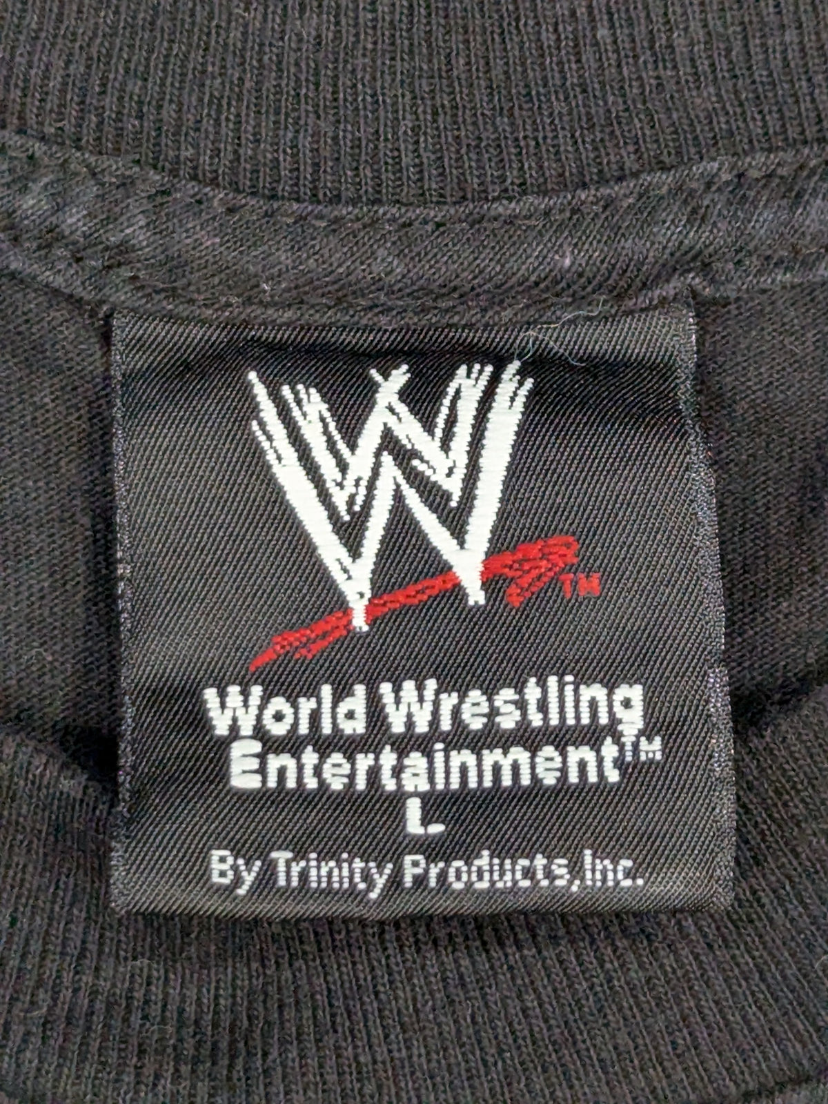 D-GENERATION X イラストTシャツ③(WWE(2000s) / ブラック)