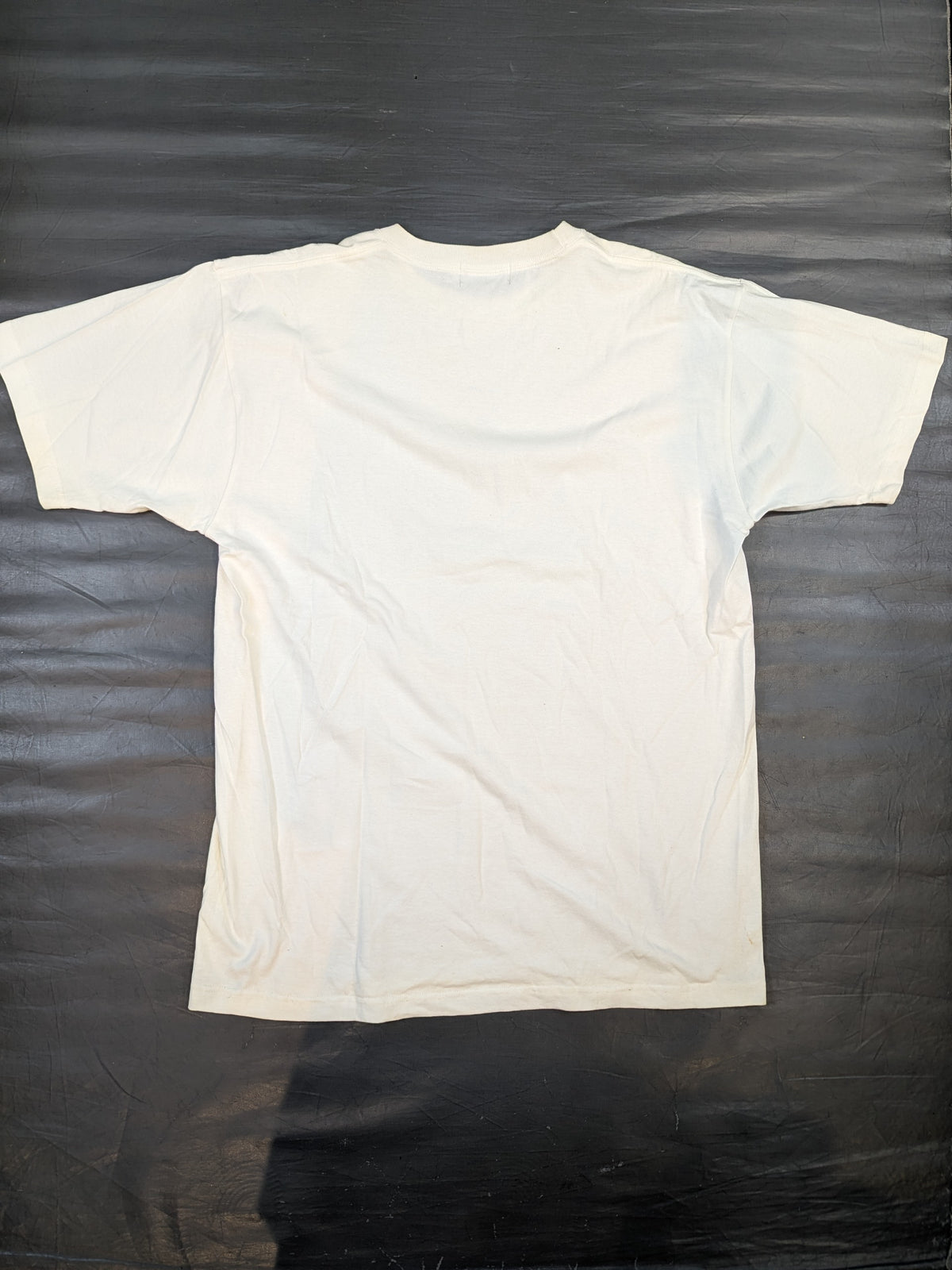 Mitsuharu Misawa  "GREAT VOYAGE '09" photo T-shirt