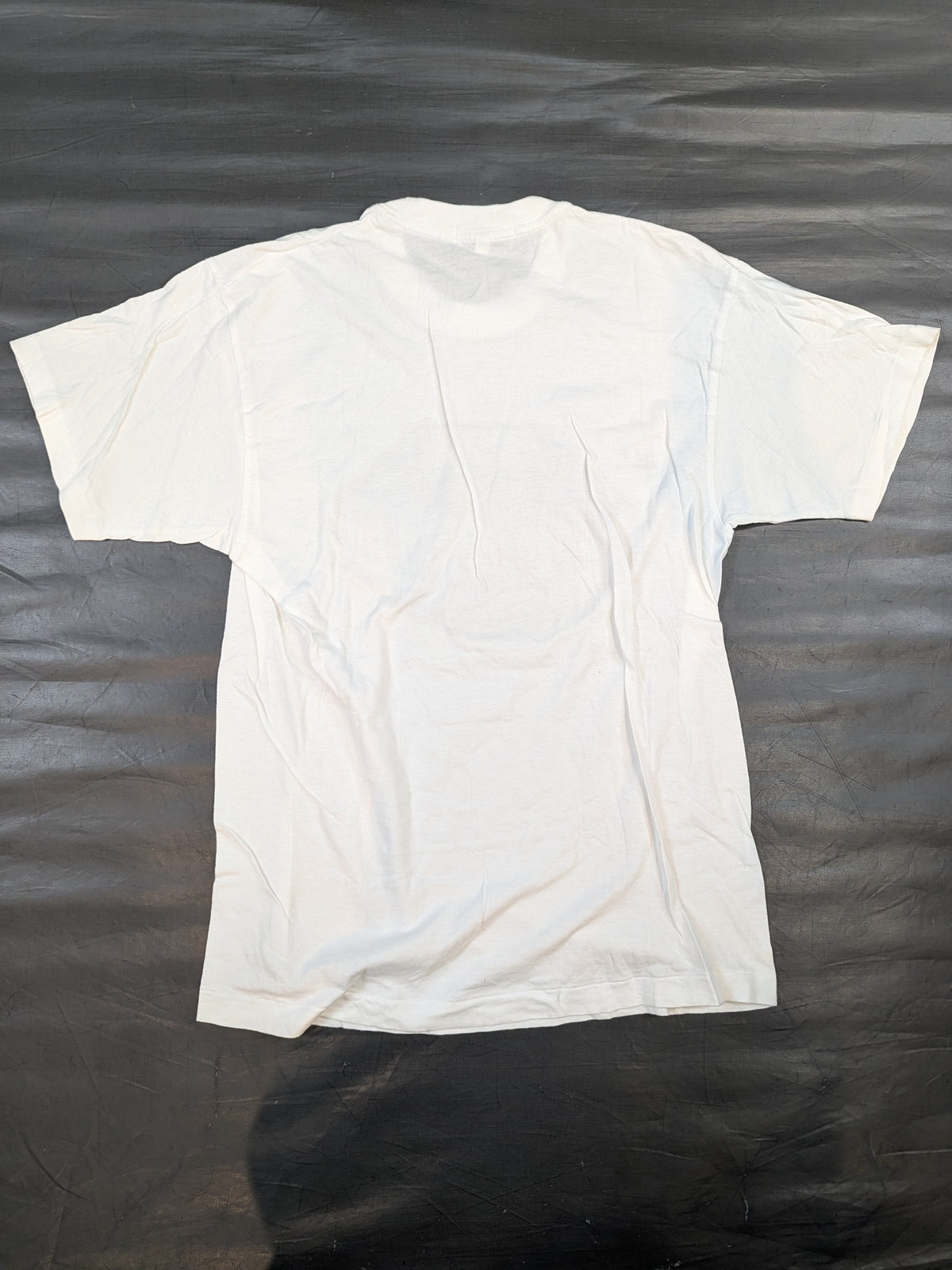 ★DESCENTE★ ALL JAPAN PRO.WRESTLING Tシャツ