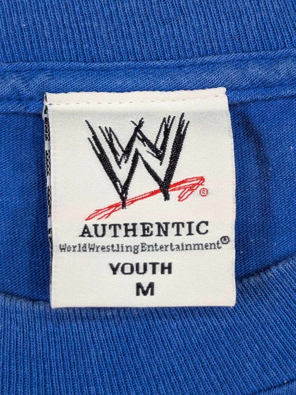 Rey Mysterio Picture T-Shirt (WWE (2000s) / Blue)