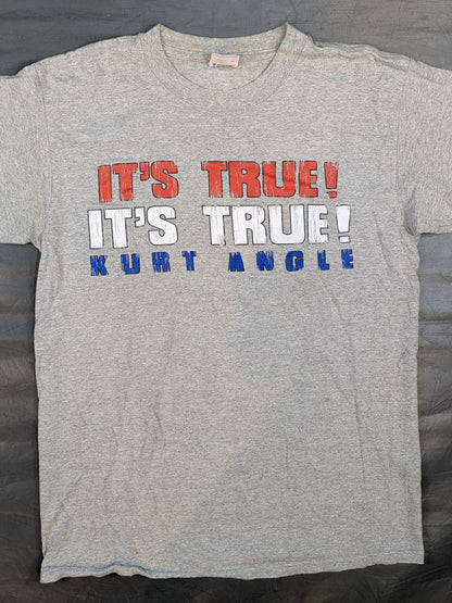 カート・アングル「IT'S TRUE!」Tシャツ(WWF(2000) / グレー)