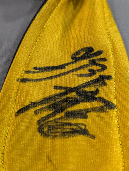 Shiryū