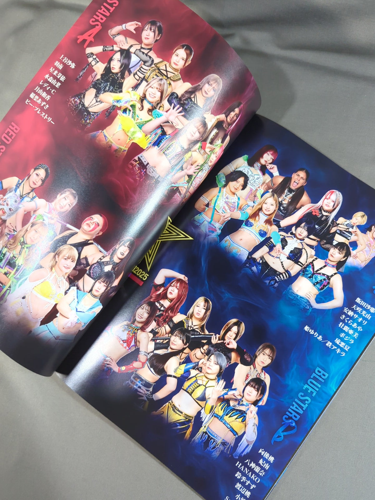 STARDOM OFFICIAL GUIDE BOOK Vol.156