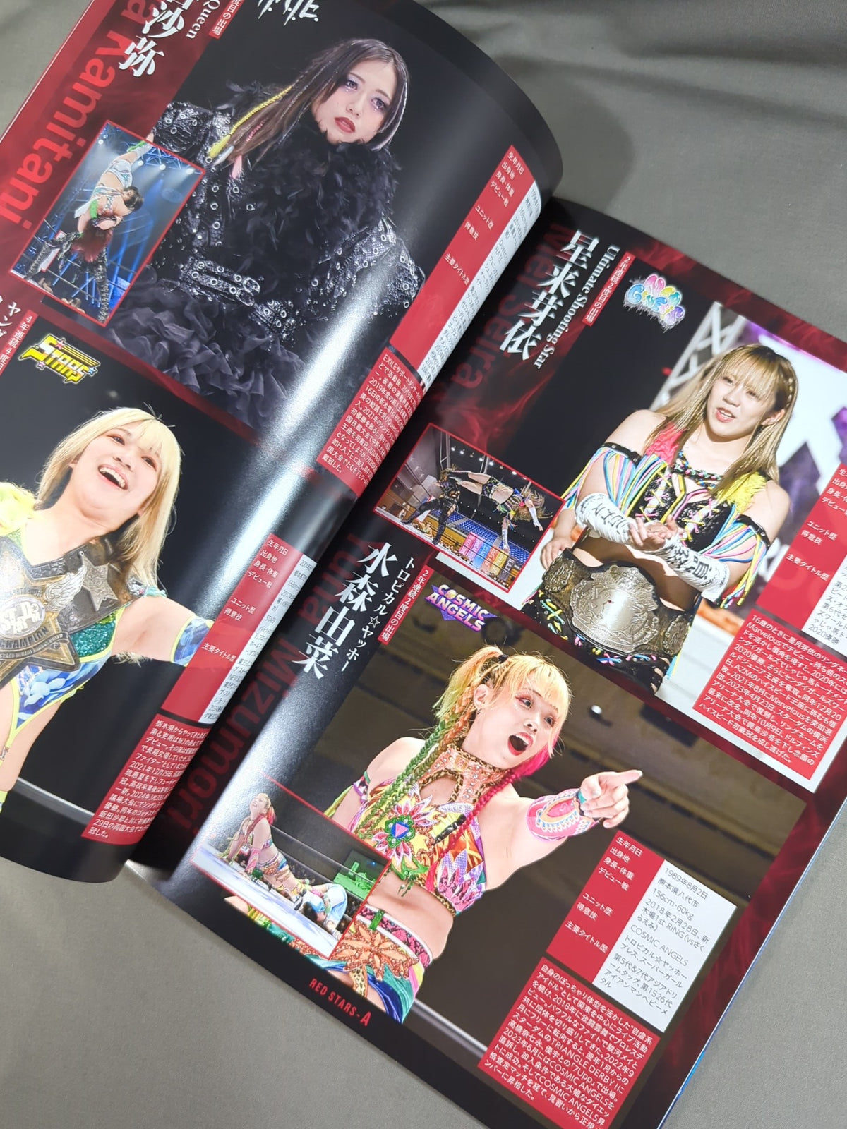 STARDOM OFFICIAL GUIDE BOOK Vol.156