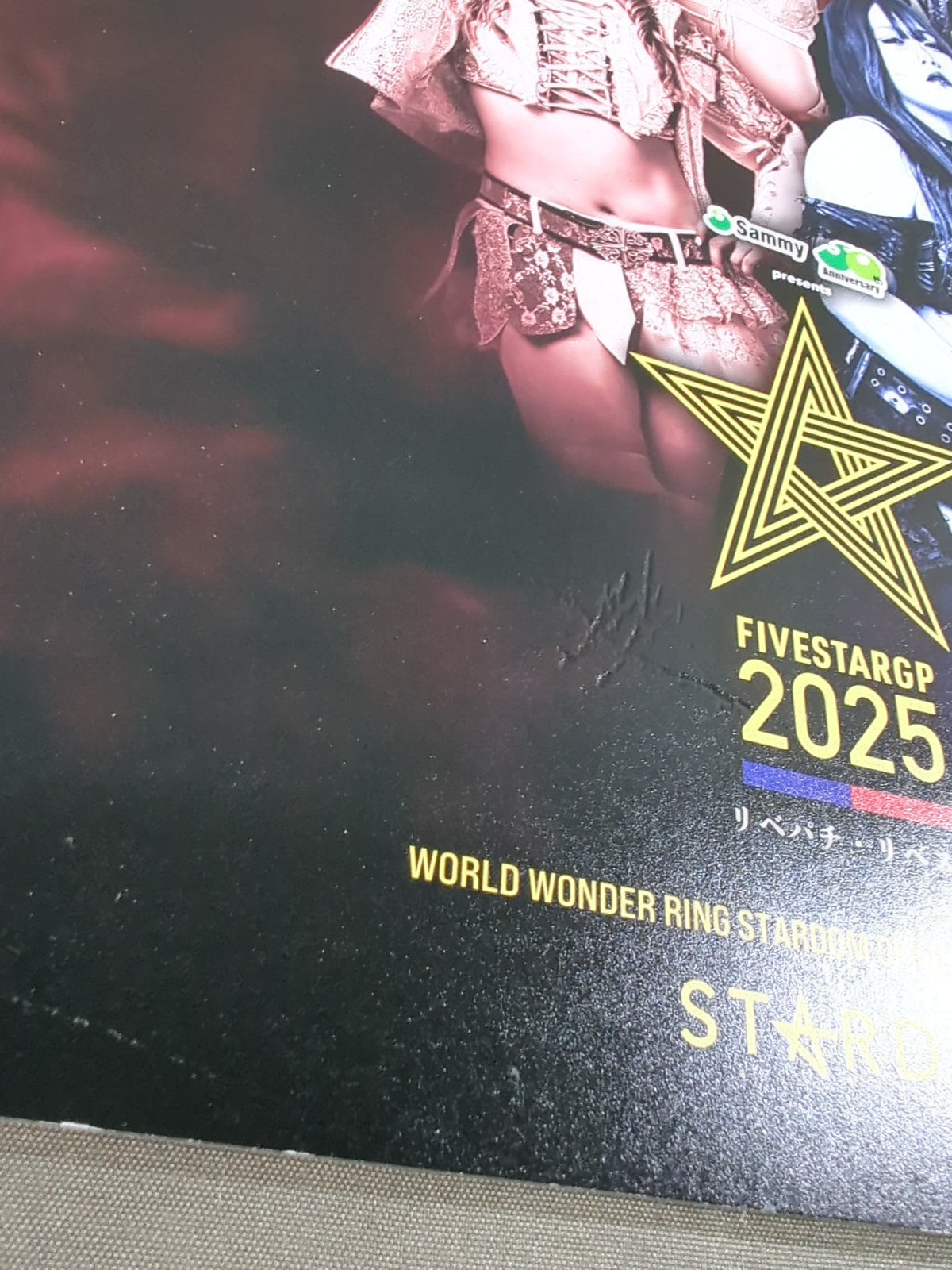 STARDOM OFFICIAL GUIDE BOOK Vol.156