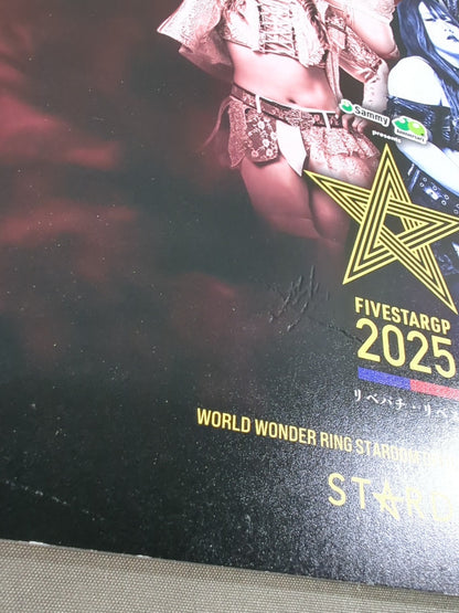 STARDOM OFFICIAL GUIDE BOOK Vol.156