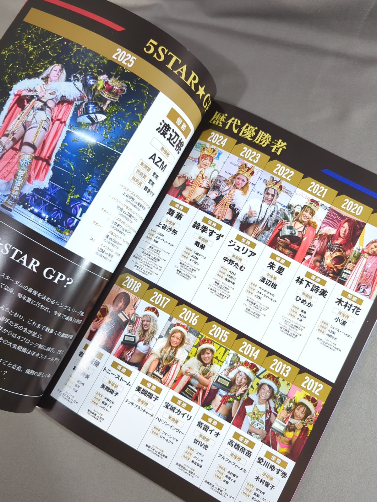 STARDOM OFFICIAL GUIDE BOOK Vol.160