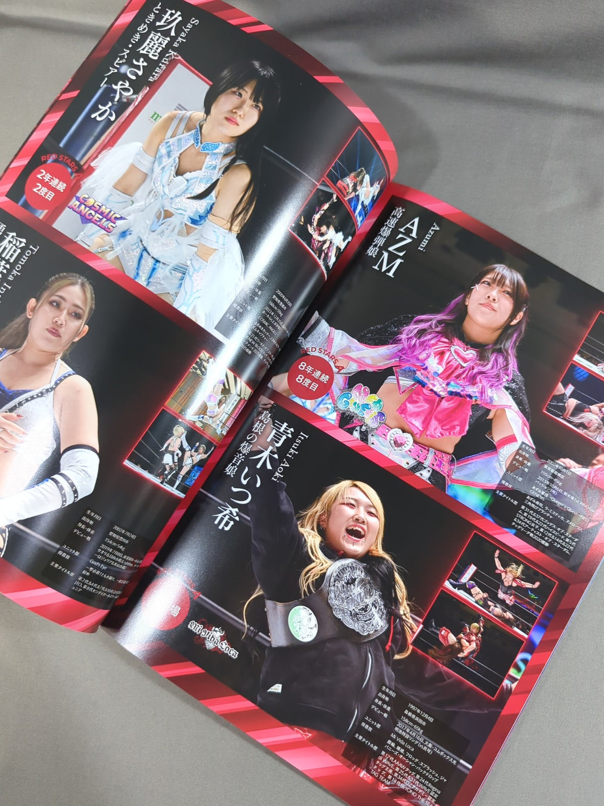 STARDOM OFFICIAL GUIDE BOOK Vol.160