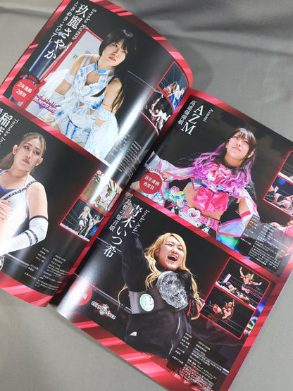 STARDOM OFFICIAL GUIDE BOOK Vol.160