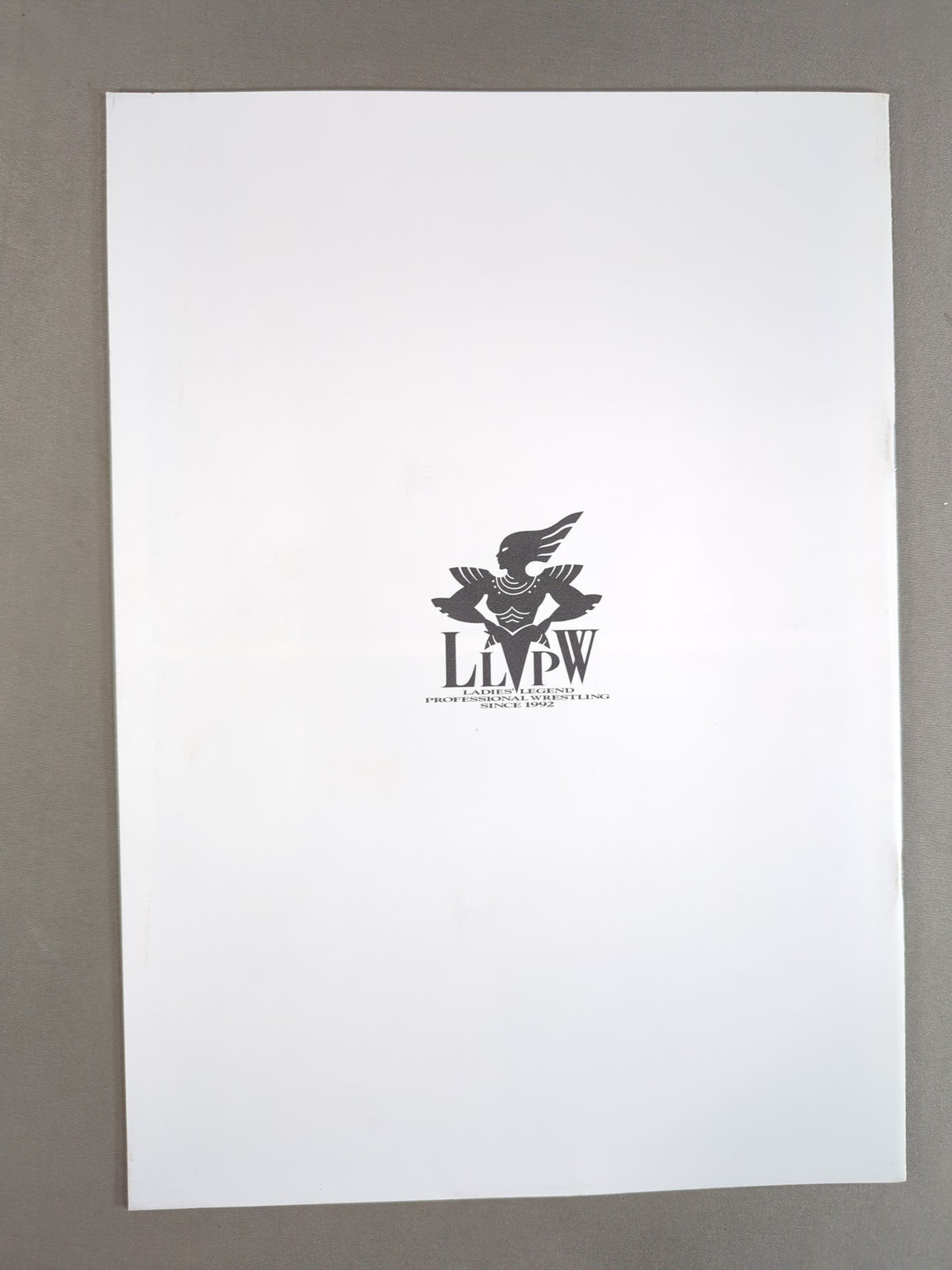 【立野記代 直筆サイン入り】LLPW / Official Guide(1998)