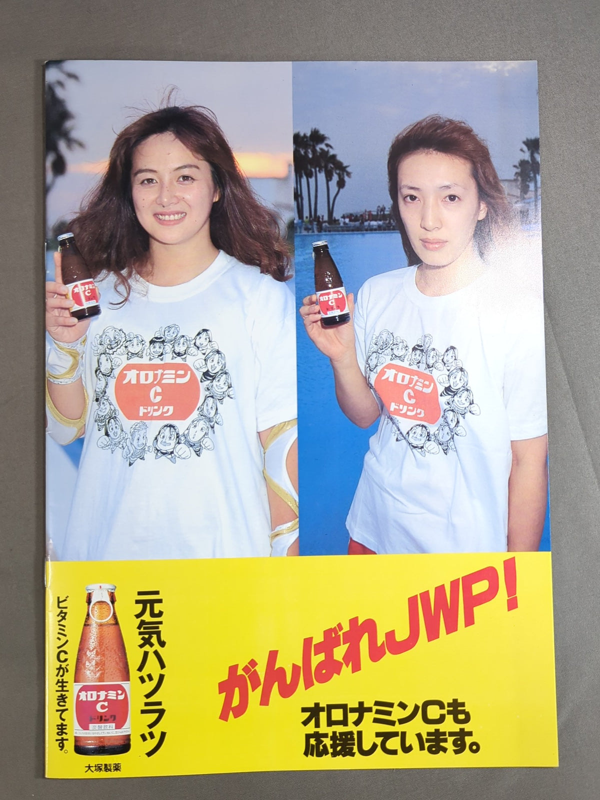 JWP / OFFICIAL PAMPHLET Vol.19