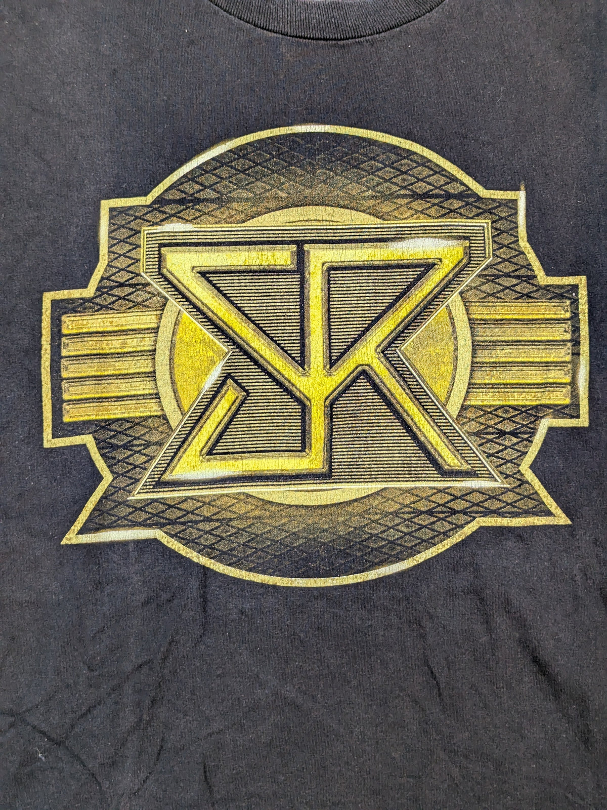 Seth Rollins 'THE UNDISPUTED FUTURE' T-shirt (WWE (2015) / Black)