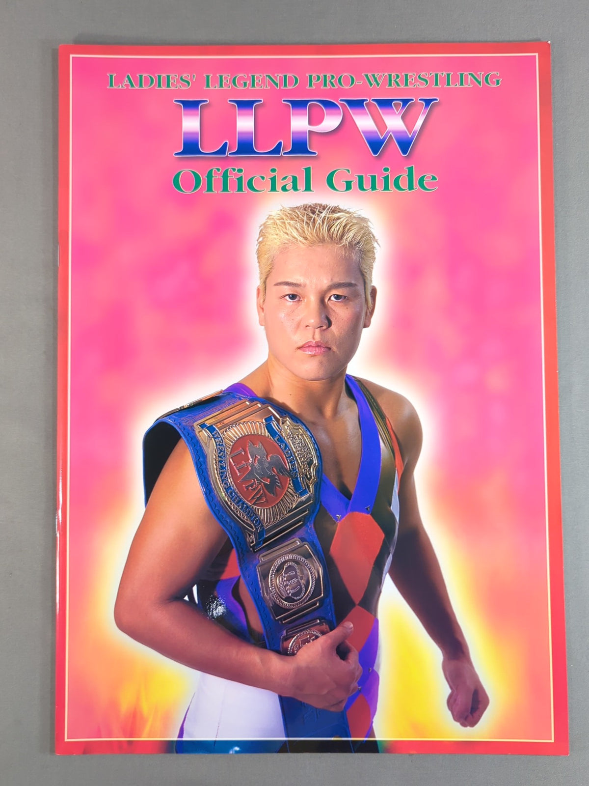 LLPW / Official Guide 1999 Vol.1