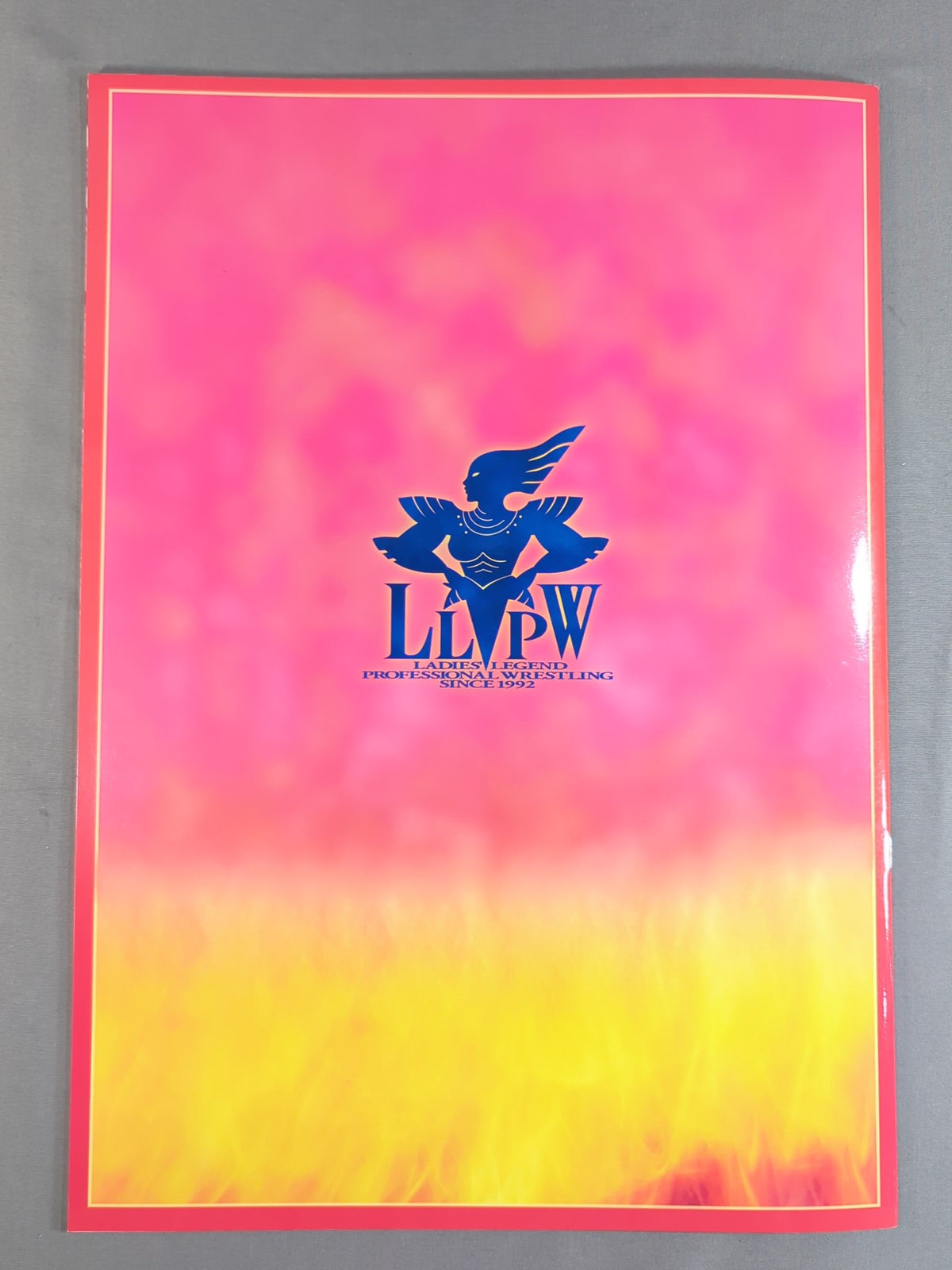 LLPW / Official Guide 1999 Vol.1