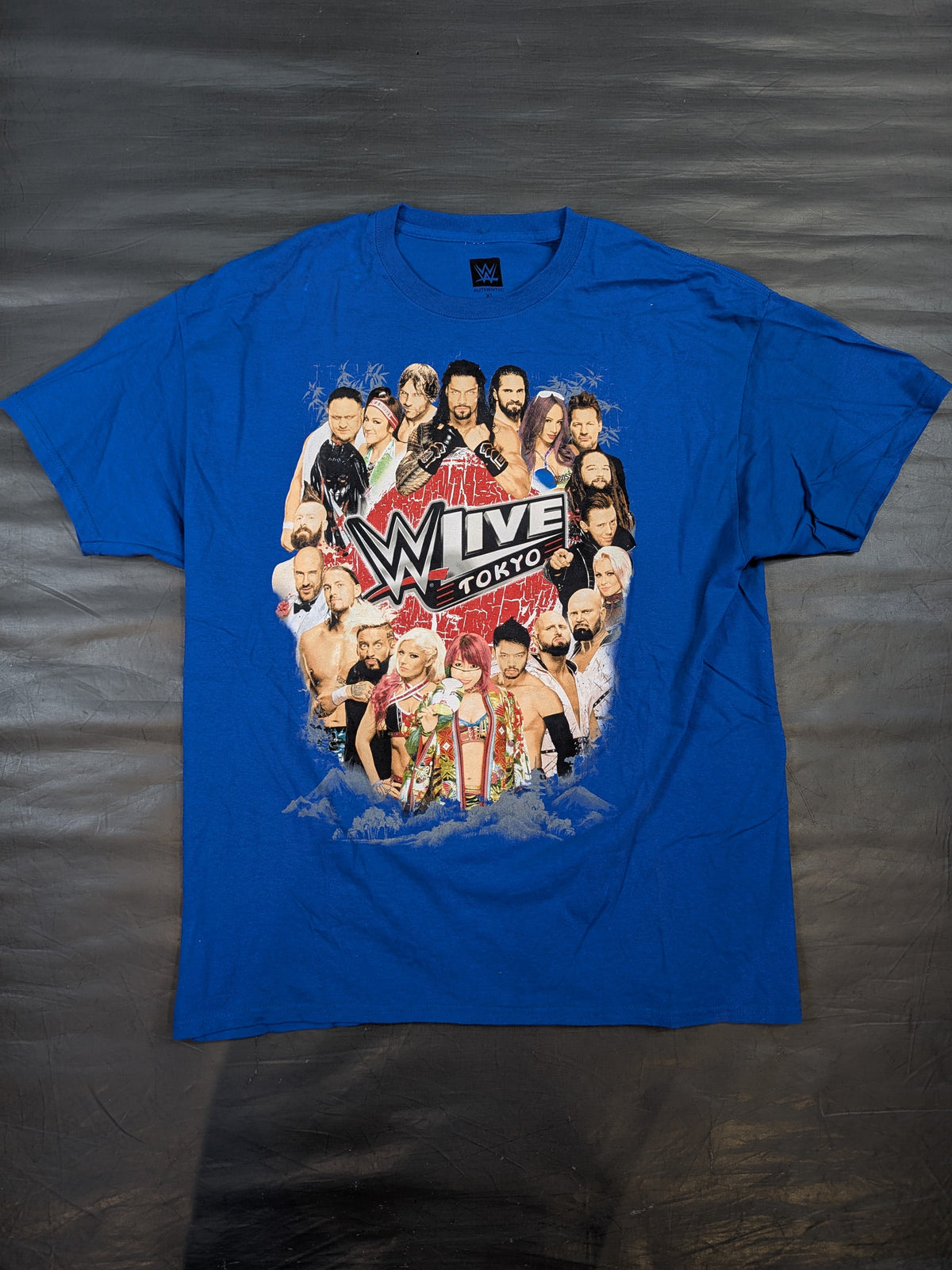 WWE LIVE TOKYO 2017 T-Shirt (WWE (2017) / Blue)