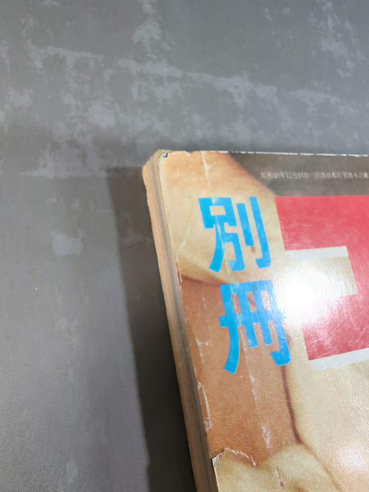 別冊ゴングVol.7 No.9
