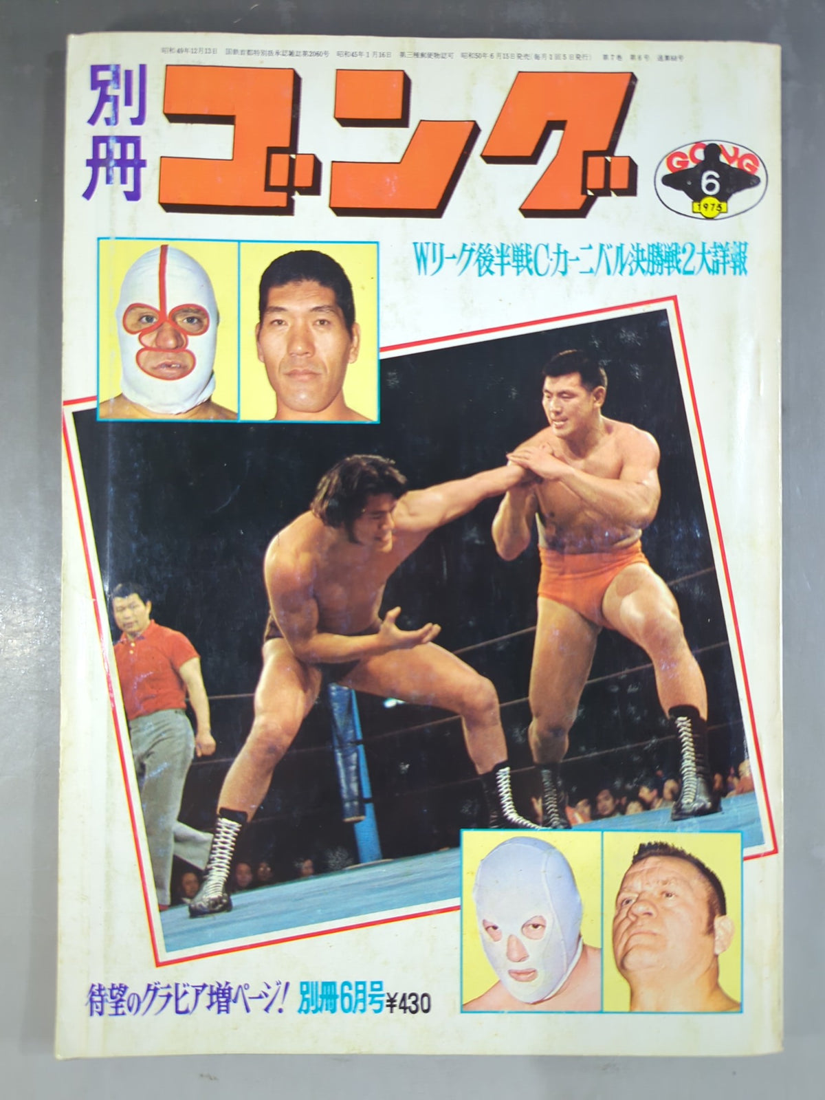 別冊ゴングVol.7 No.6