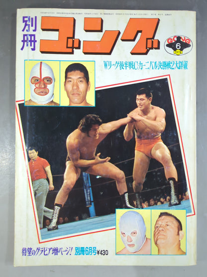 別冊ゴングVol.7 No.6