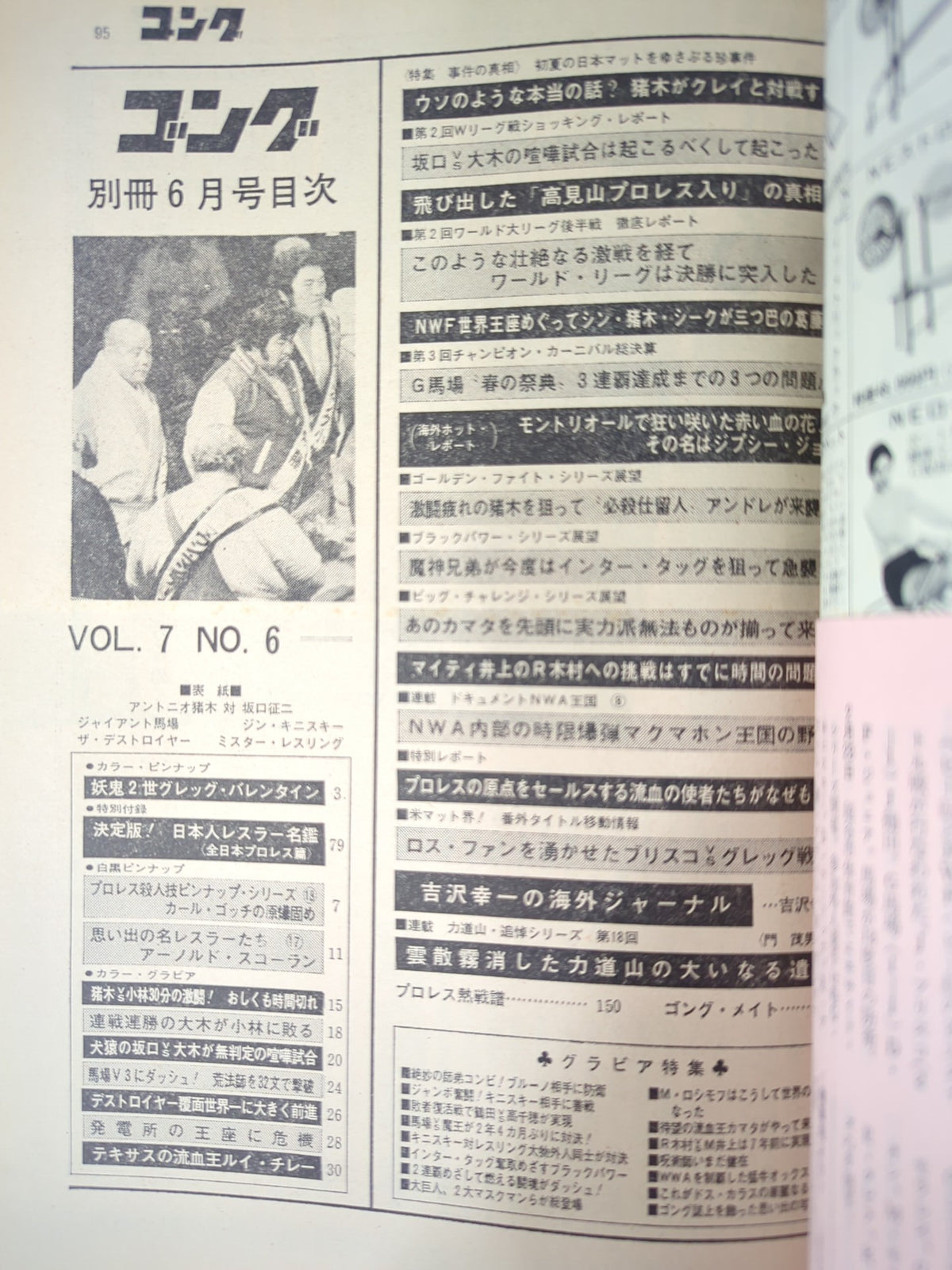 別冊ゴングVol.7 No.6
