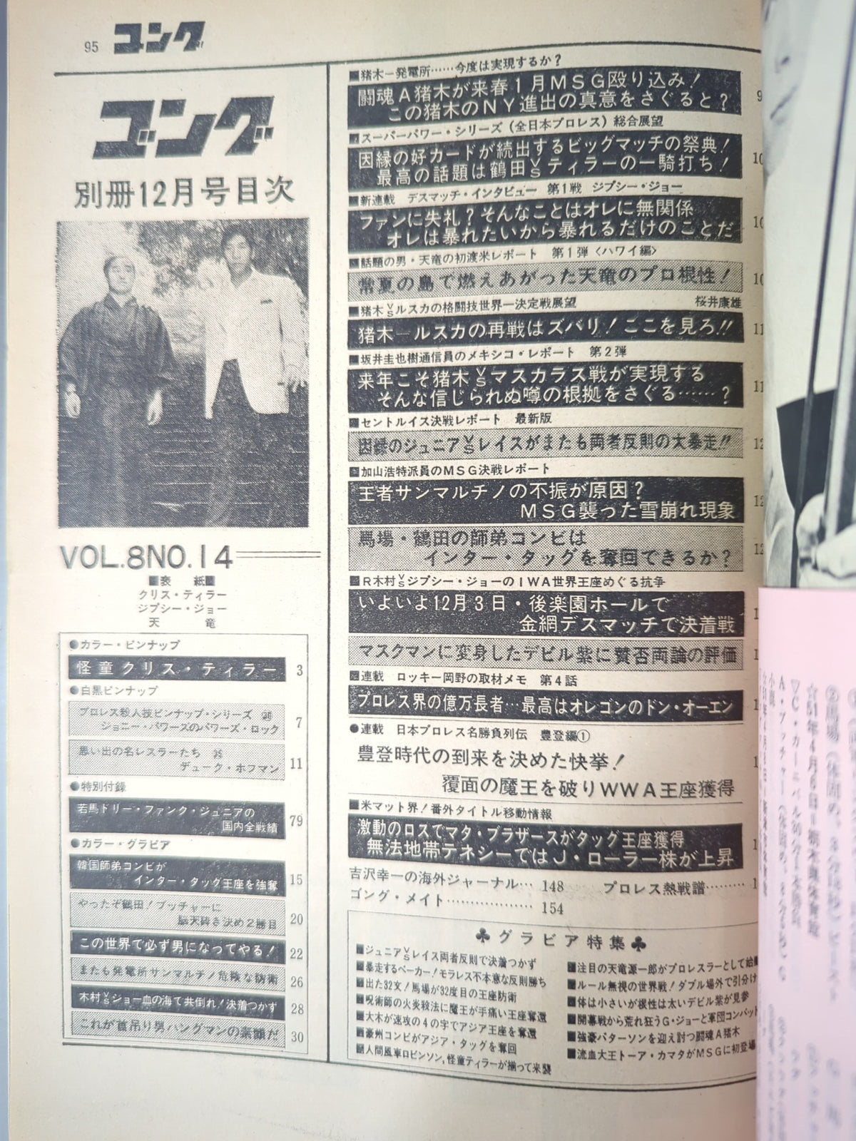 別冊ゴングVol.8 No.14