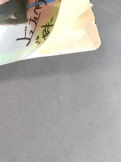 ★真赤な青春★ ビューティー・ペア 下敷き
