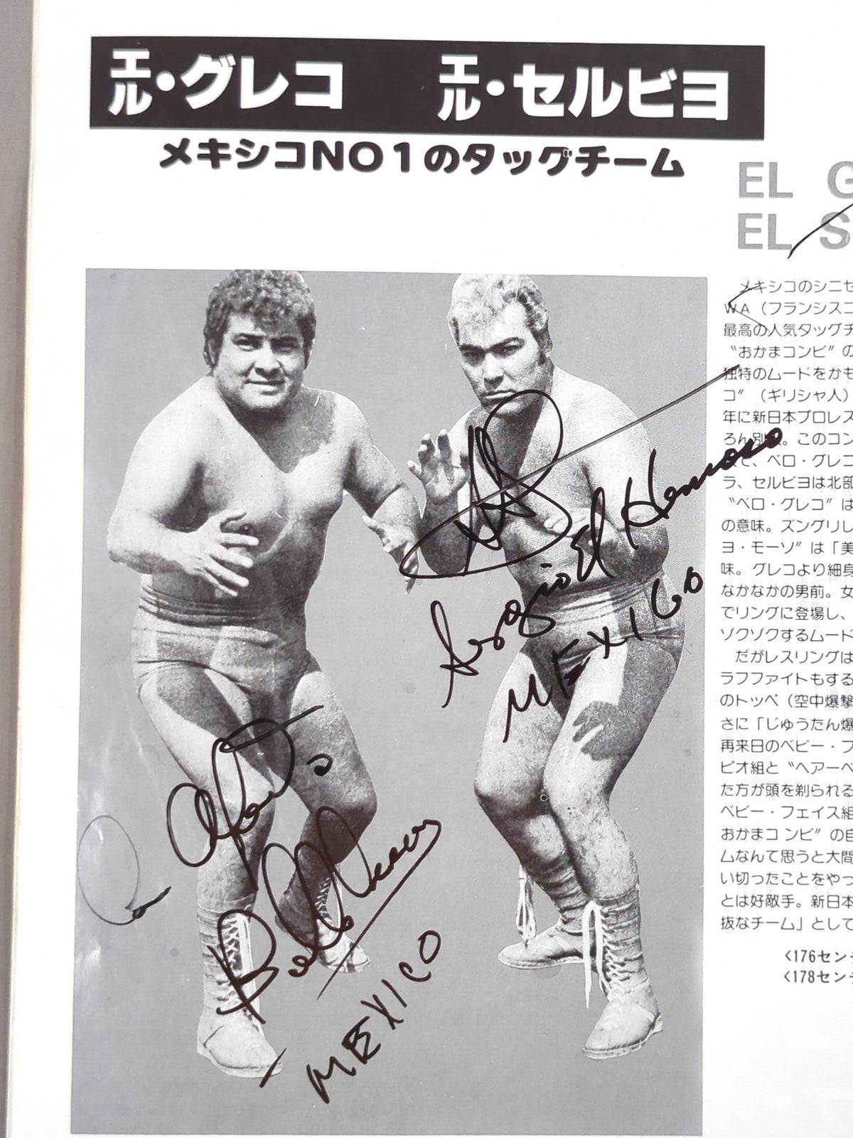 [8 fighters hand signed autograph ] 80 Big Fight Series
