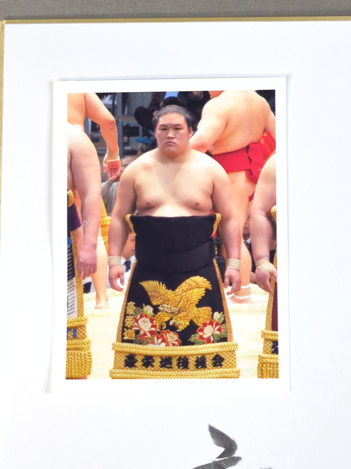豪栄道(二つ折り特製色紙)