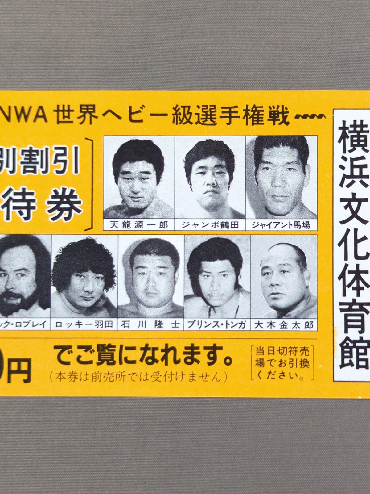 ★NWA世界ヘビー級選手権戦★ 81ジャイアントシリーズ 特別割引優待券