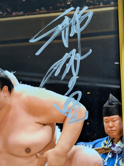 ★BBM 限定100★ 第七十二代横綱 稀勢の里 寛 引退記念 直筆サイン入りフォトパネル（2連式）