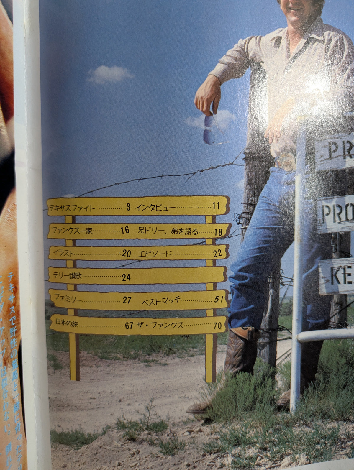 Pro Wrestling  Album 3 by Terry Funk
