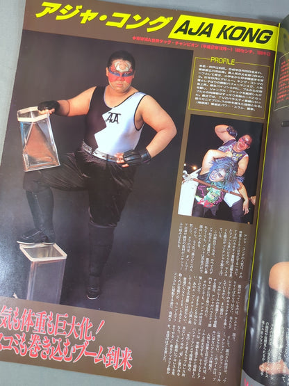 Ringstar PROGRAM 1991 Vol.9