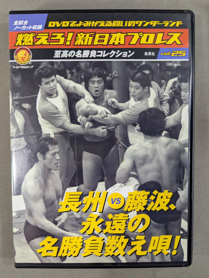 燃えろ!新日本プロレス vol.25