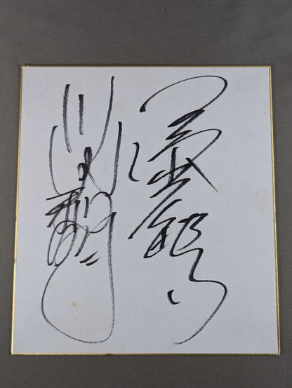 Mitsuharu Misawa & Toshiaki Kawada