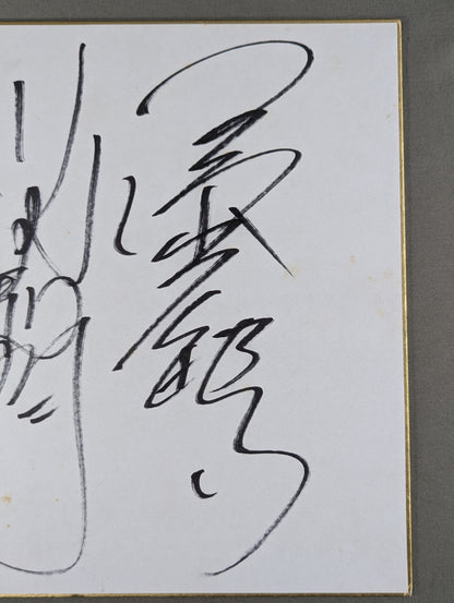 Mitsuharu Misawa & Toshiaki Kawada