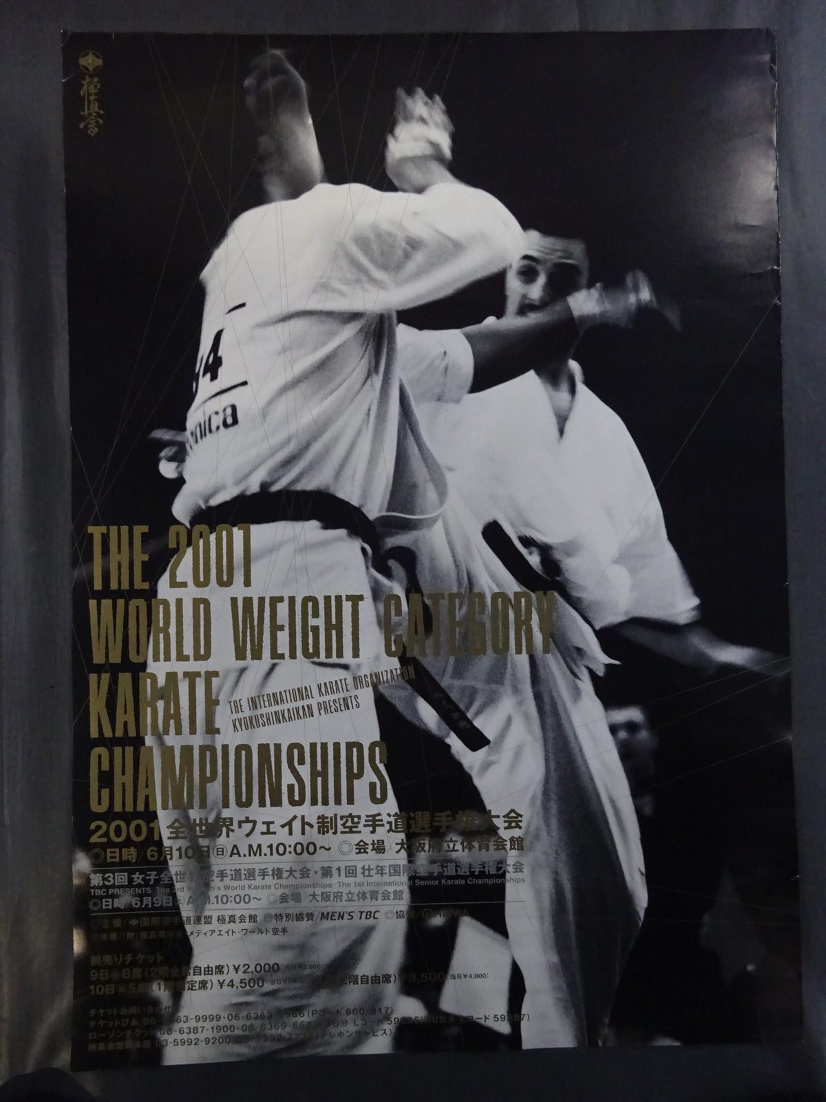 Kyokushin KARATE  Conference Poster Set (1)