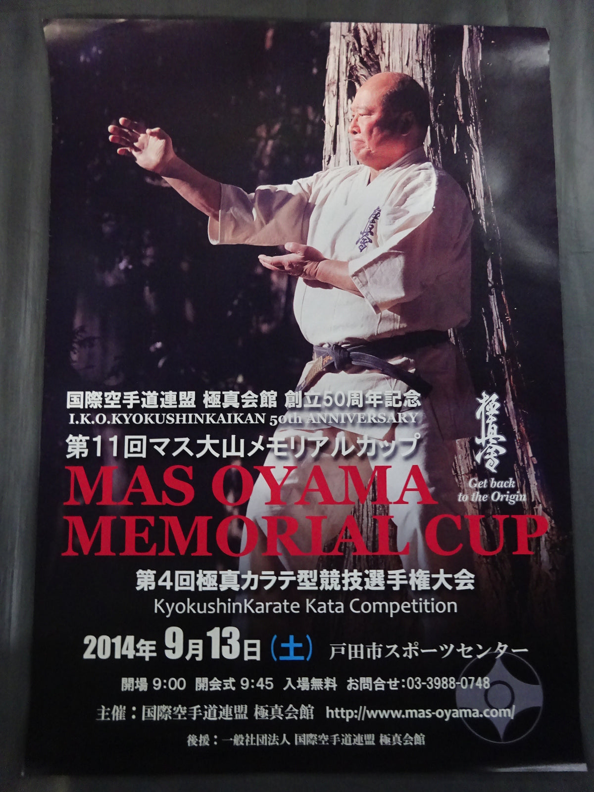 Kyokushin KARATE  Tournament Poster Set (3)
