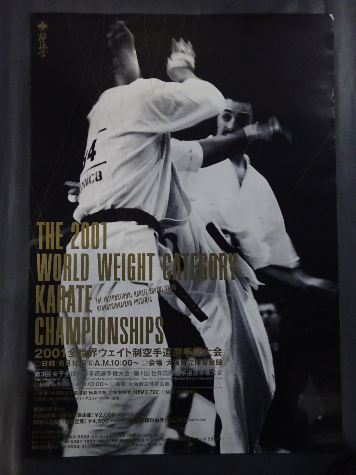 Kyokushin KARATE  Tournament Poster Set (7)