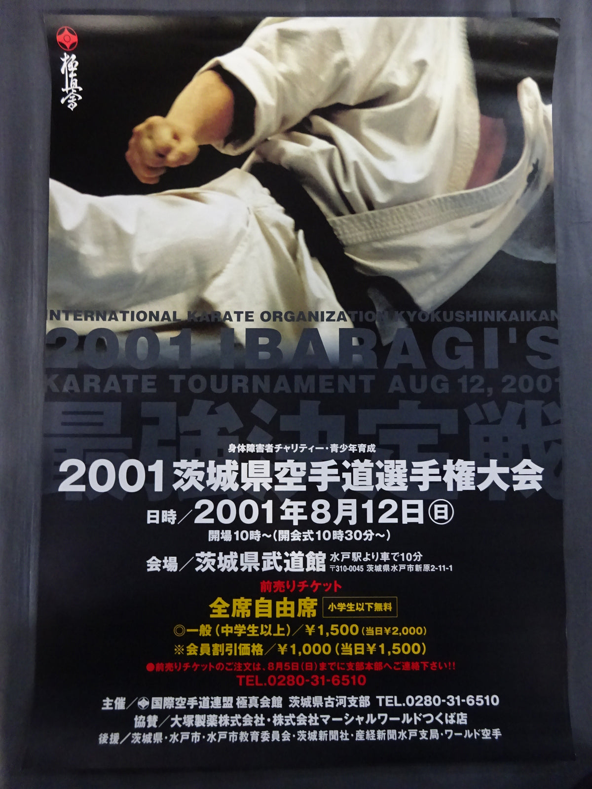 Kyokushin KARATE  Tournament Poster Set (7)