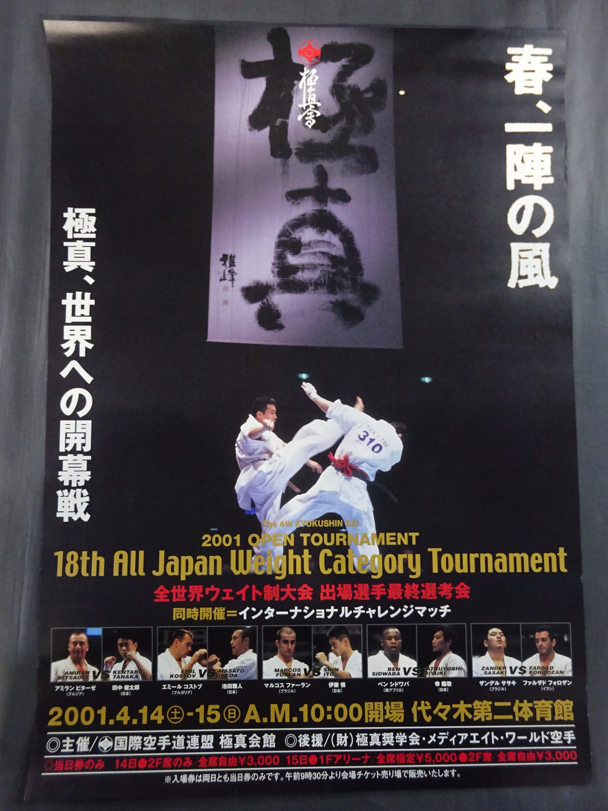 Kyokushin KARATE  Tournament Poster Set (7)