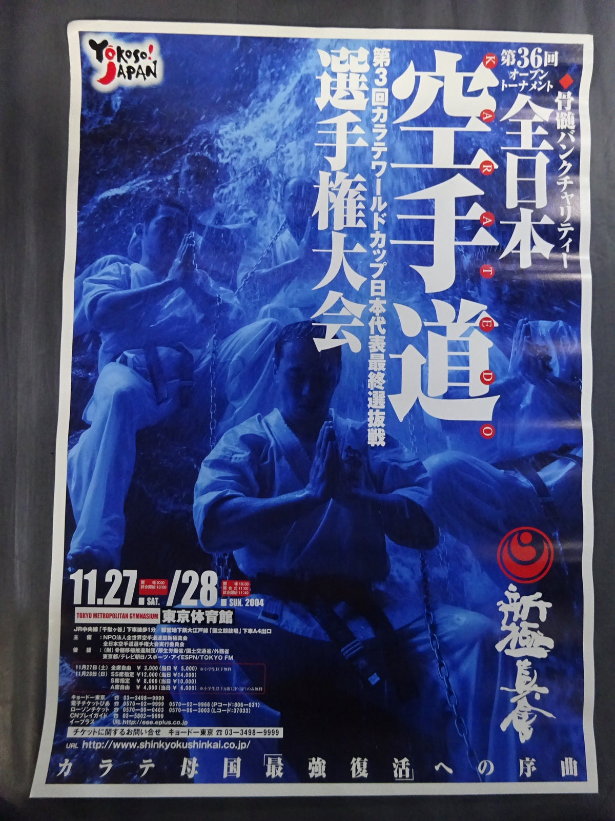 Kyokushin KARATE  Tournament Poster Set (8)