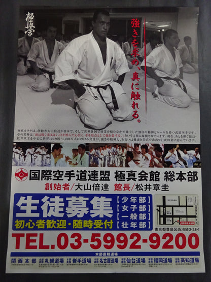 Kyokushin KARATE  Tournament Poster Set (8)