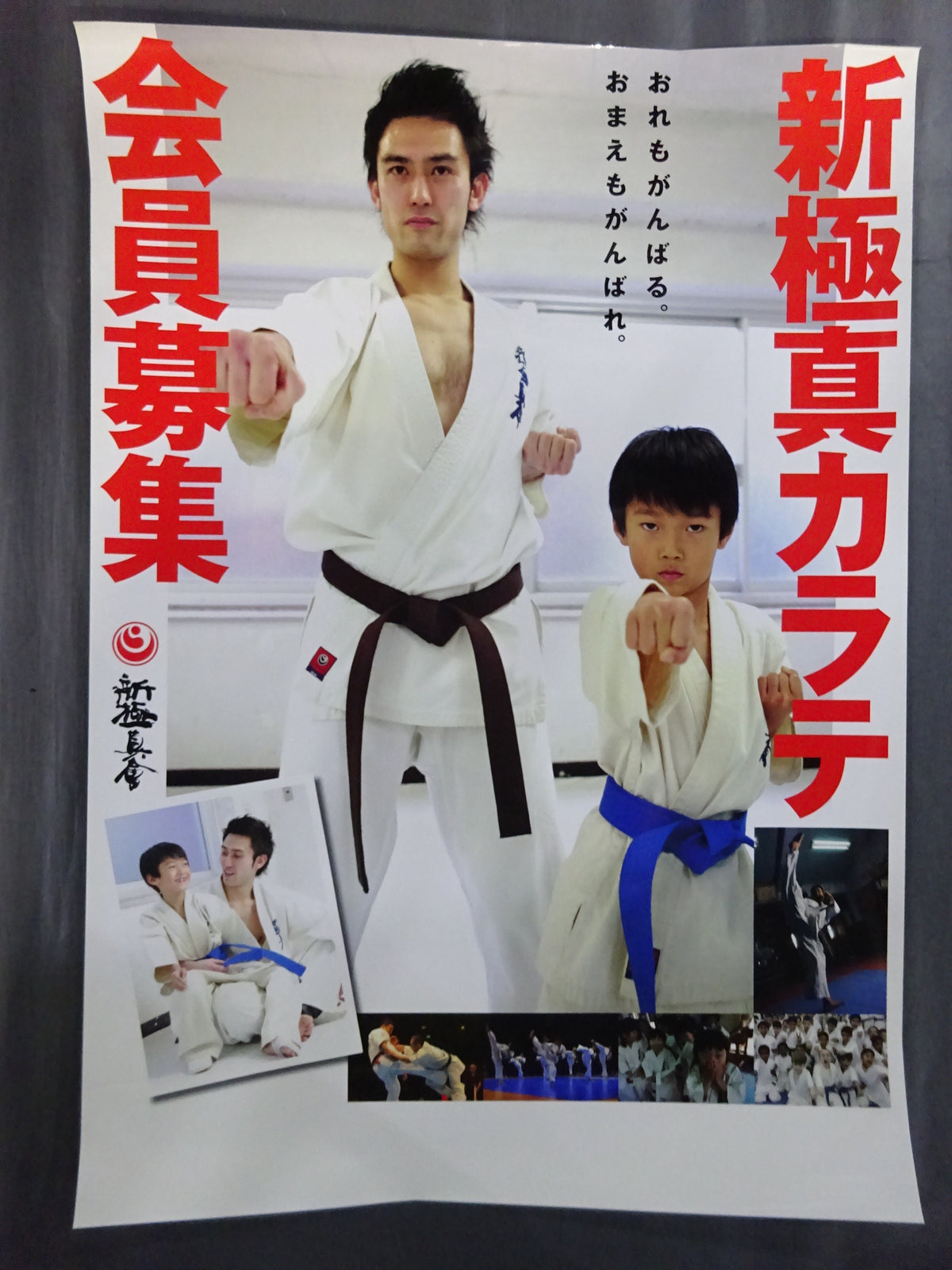 Kyokushin KARATE  Tournament Poster Set (9)