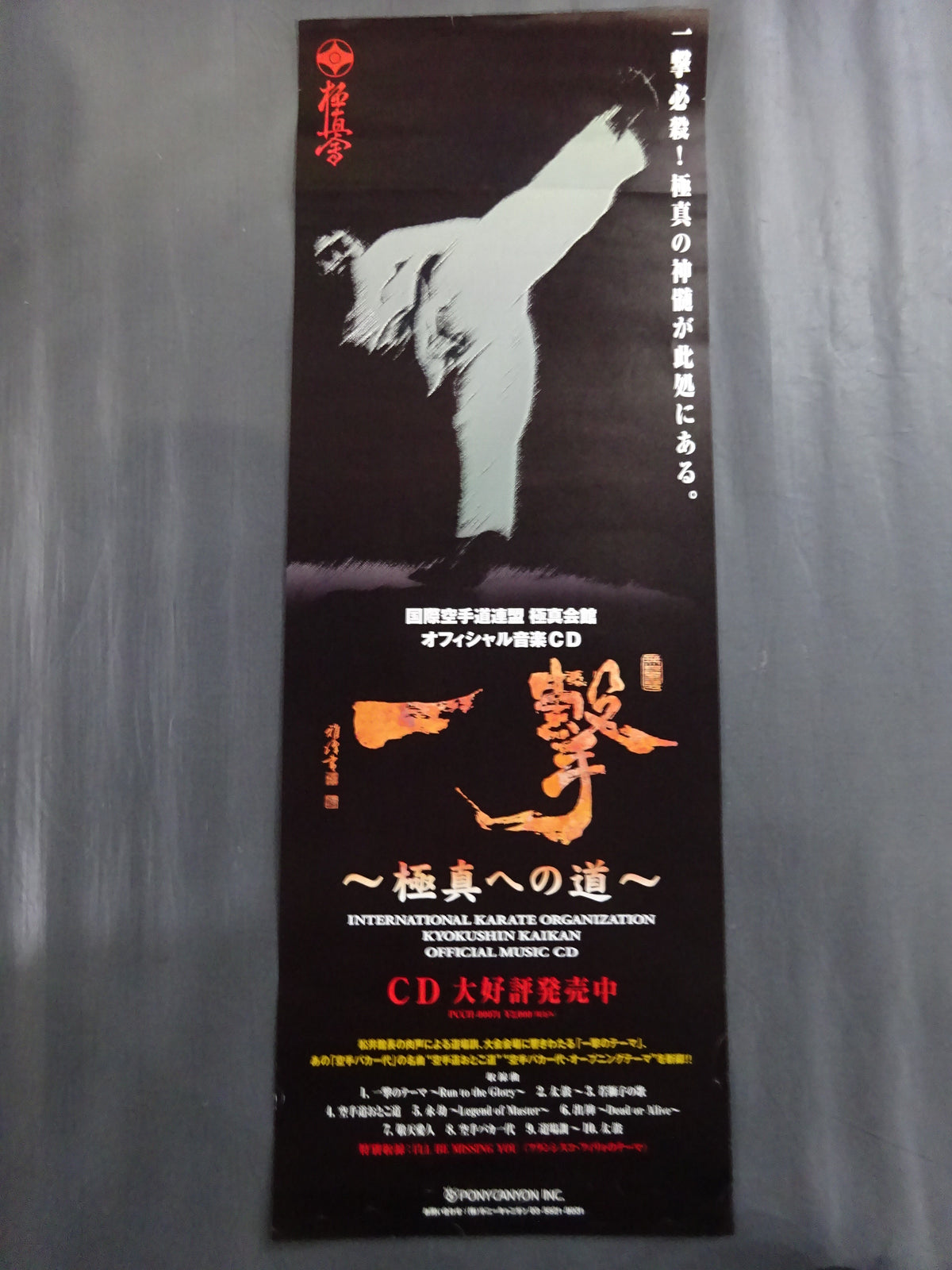 Kyokushin KARATE  Tournament Poster Set (9)